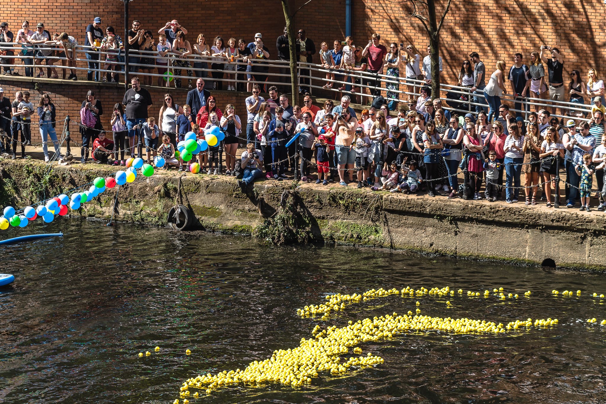 Crowds at Manchester Duck Race